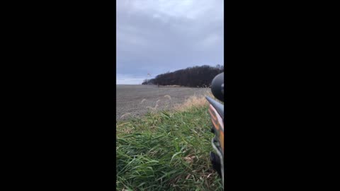 November Deer Hunting in Nebraska, 2021