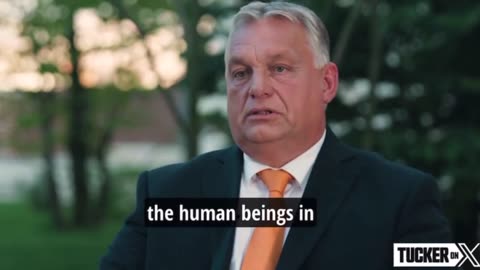 Sad But True - Scotty Films