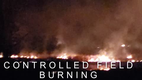 CONTROLLED FIELD BURN