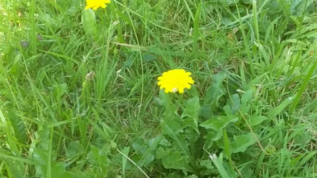 Live Stream Test 3