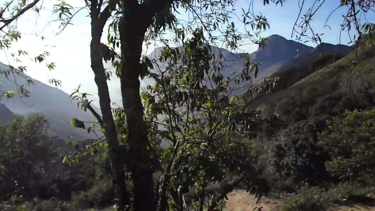 Western Ghats the beautiful Ghats with rear flora and fona