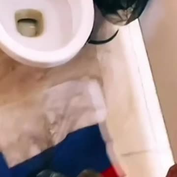 Warstache's New Toilet Mat