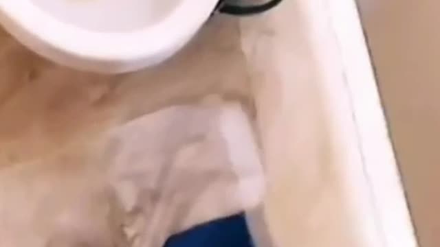 Warstache's New Toilet Mat