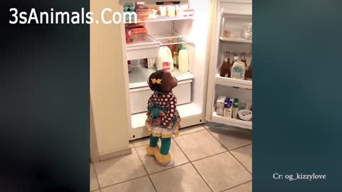 Baby Funny Video.7 Cutest and Funniest Babies Of The Week