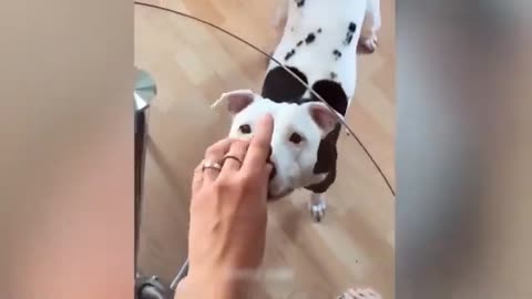 Cute 🙀