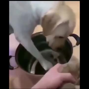 The sacrifice mother