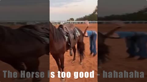 The horse is very good! The Amazon is even better.