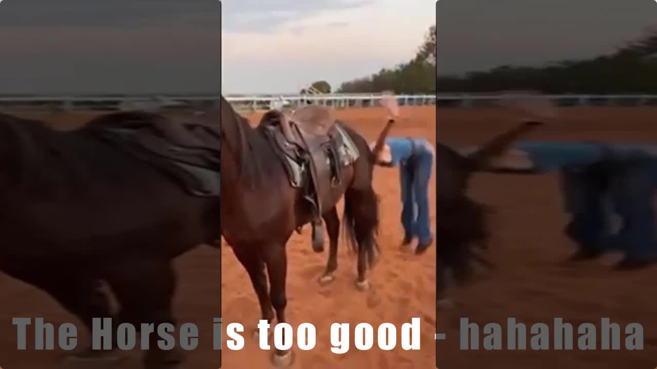 The horse is very good! The Amazon is even better.