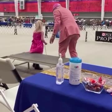 This little girl has autism. She brought her stuffed-puppy to the dog show.
