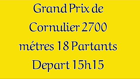 Pronostics Quinté demain 24/1/2021