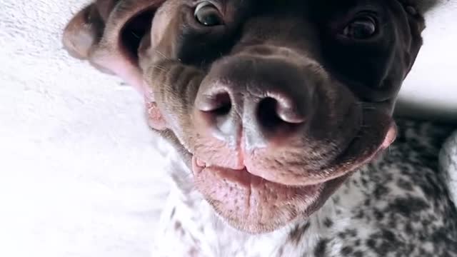 I'm a snooze machine