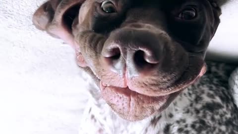 I'm a snooze machine