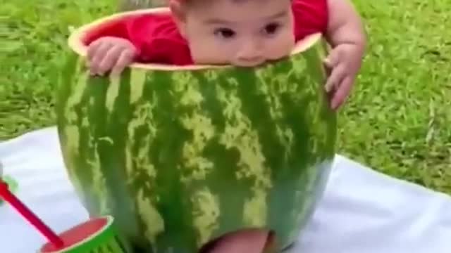 Funny Baby Video