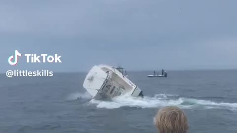 Sunk By Whale