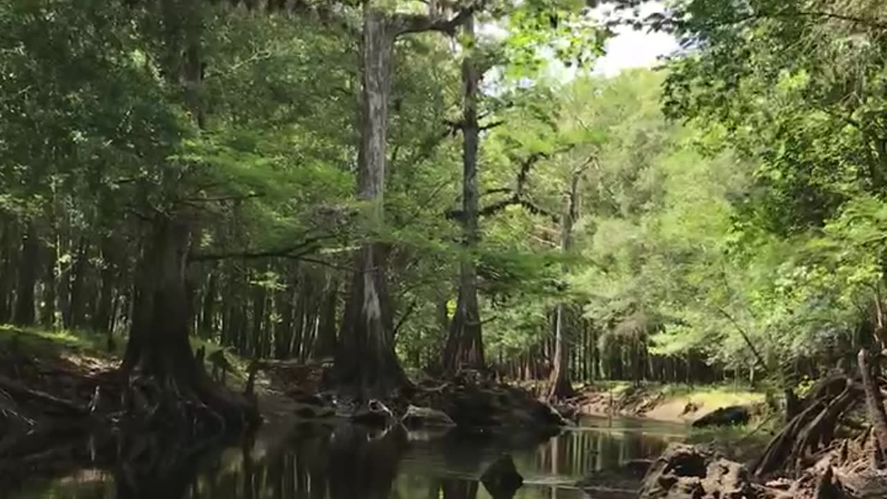 Paddling the Withlacoochie in Florida