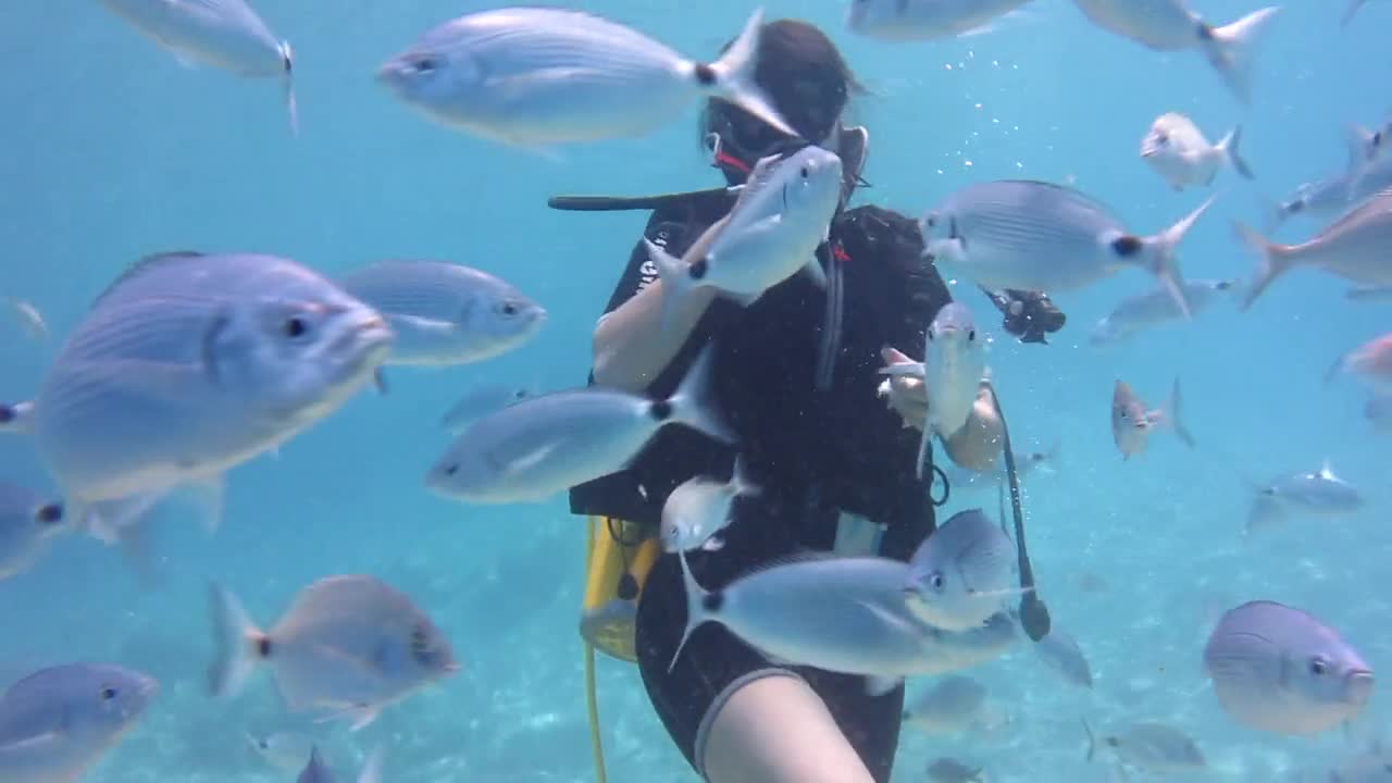 Scuba diver swims among one of the world's most bizarre fish - 1