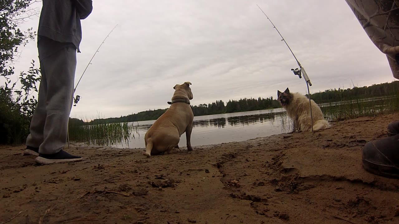 Fishing the Montreal River Ont Canada