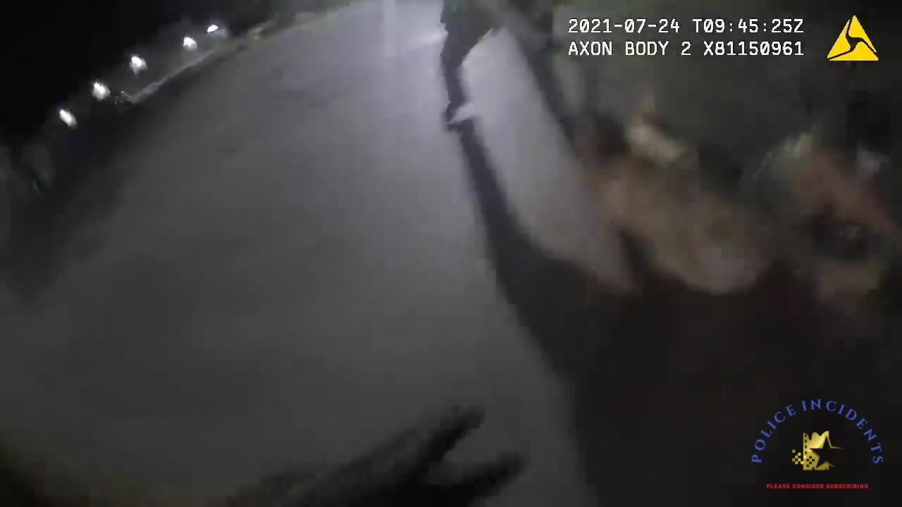 Deputies Forced to Shoot the Suspect's Dog as They struggled With The Suspect
