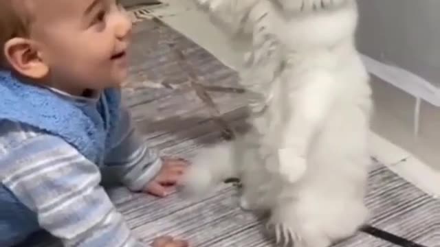 Cute baby and cute cat