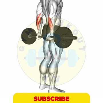 Ultimate Forearm Workout #bodybuilding #gym #shorts #fitness