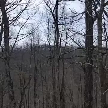 The Power of Living Off the Land