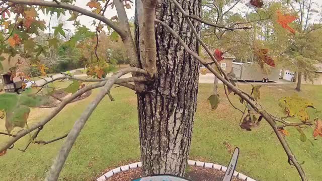Testing Electric Saw