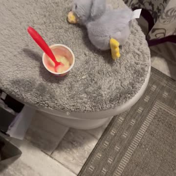 I knew she was too quiet.