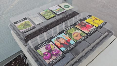 More Cool-Season Garden Seed-Starting 04/06/2024