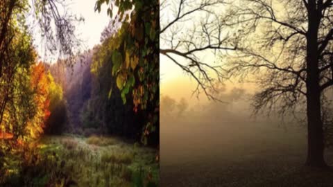 Autumn