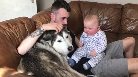 Chinese Funny Jokes Funny Video Indian Best Comedy Movies Whatsapp Videos