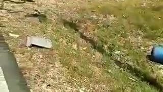 carro bomba