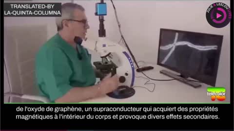 ApéroLive avec Vous les Zzz'Amis 07/08 Les Zzz'Infos Bonheur de Leelou