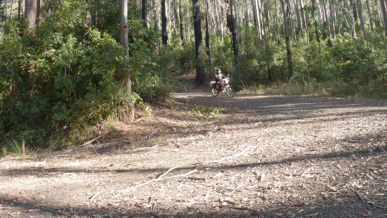 KOSEKAI LOOKOUT | DUNGGIR NATIONAL PARK AUSTRALIA | WR250R ADVENTURE RIDE