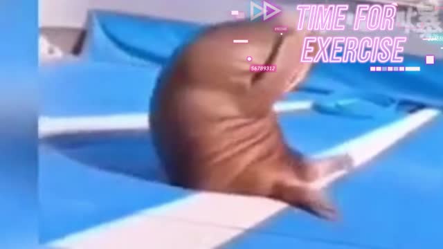 Time To Exercise