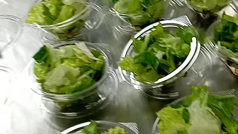 Health salad of the day