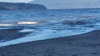 Explore Vancouver Island!