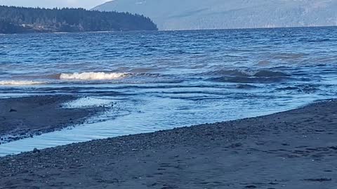 Explore Vancouver Island!