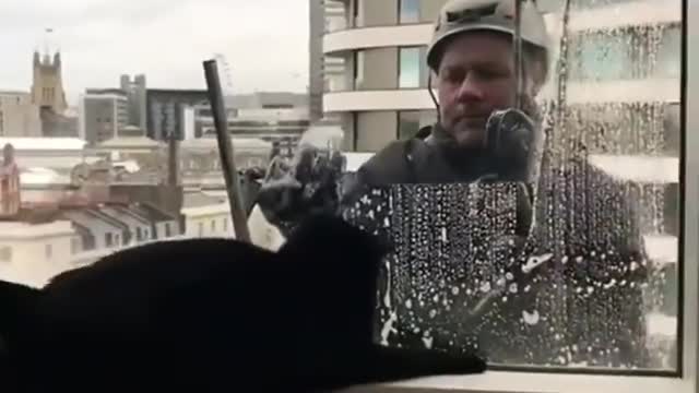 I think that guy got a new friend at work