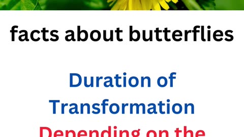 facts about butterflies,,,3/25