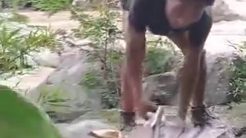 Big fish catch