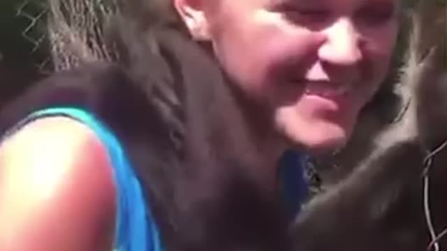cheeky funny animals
