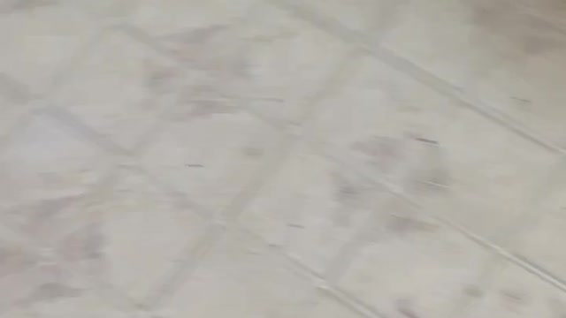 Lulu playing