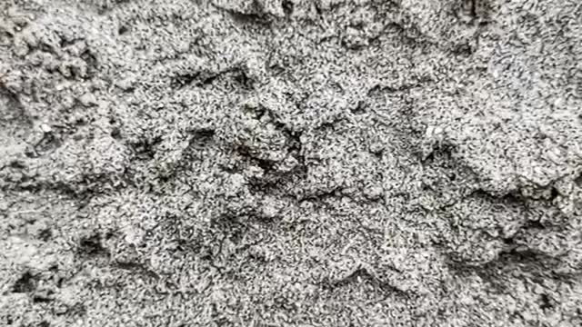 Sand video natural
