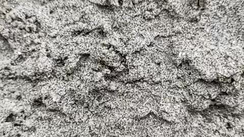 Sand video natural