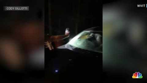 Connecticut Man Finds Bear Behind The Wheel Of Mother-In-Law's Car