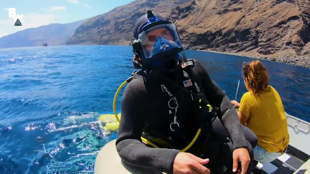 Great White Shark Submarine Explores the Kill Zone!