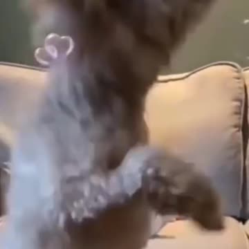 Whatsapp status video 😁#shorts #whatappstatus #kidslover001 #tiktok #hahaha #baby