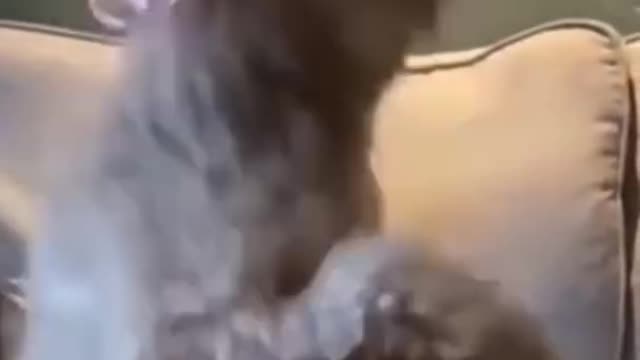 Whatsapp status video 😁#shorts #whatappstatus #kidslover001 #tiktok #hahaha #baby