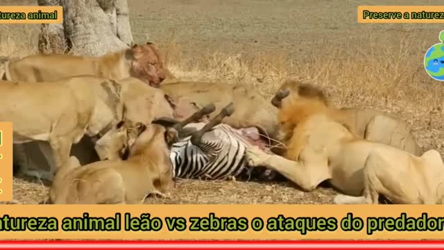 Attacks on nature animal wildlife