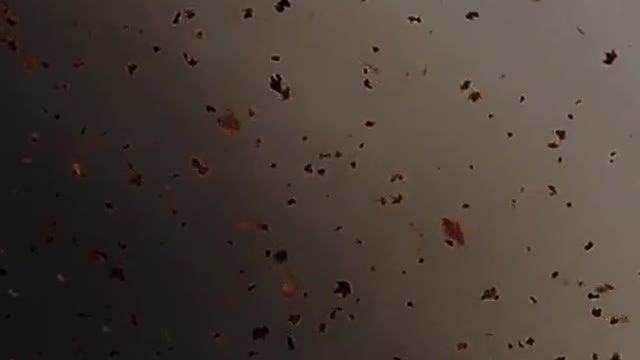 Lost my Mind....🍂🍁 Aesthetic video